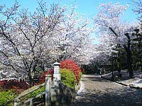 Asukayama Park