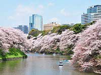 Chidorigafuchi