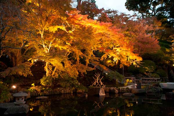 Kamakura