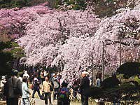 Koishikawa Korakuen