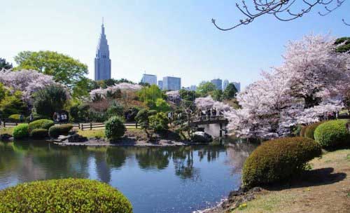 Shinjuku Gyoen National Garden