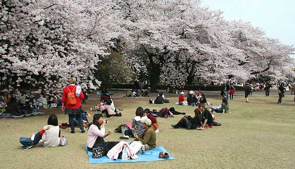 Shinjuku Gyoen National Garden