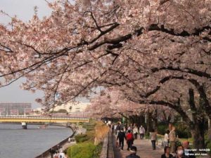 Sumida Park