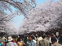 Ueno Park