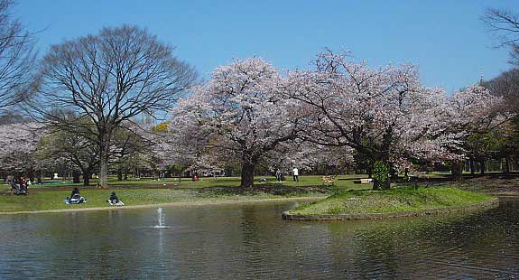 Yoyogi Park