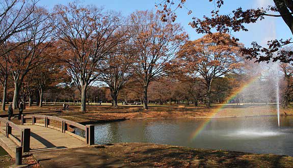 Yoyogi Park