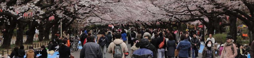 Tempat-Tempat Yang Wajib Dikunjungi Di Tokyo